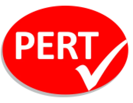 PERT Ingenieros Asociados S.A.C.